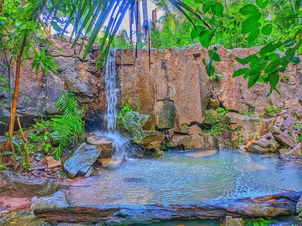 Vilma Lima assina ordem de serviço do primeiro parque ambiental municipal - Imagem 4