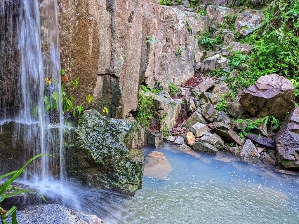 Vilma Lima assina ordem de serviço do primeiro parque ambiental municipal - Imagem 8