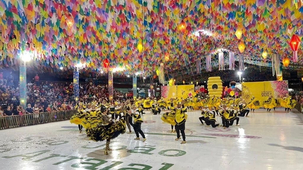 Quadrilha Luar do São João é campeã do XIX Festival Cultural dos Cocais - Imagem 27