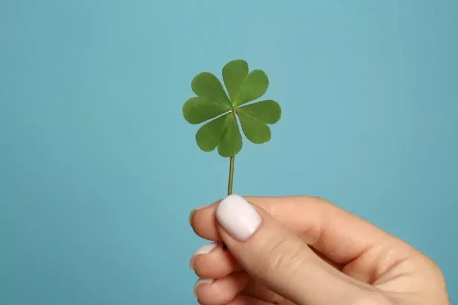 Saiba qual é o número da sorte de cada signo para a semana