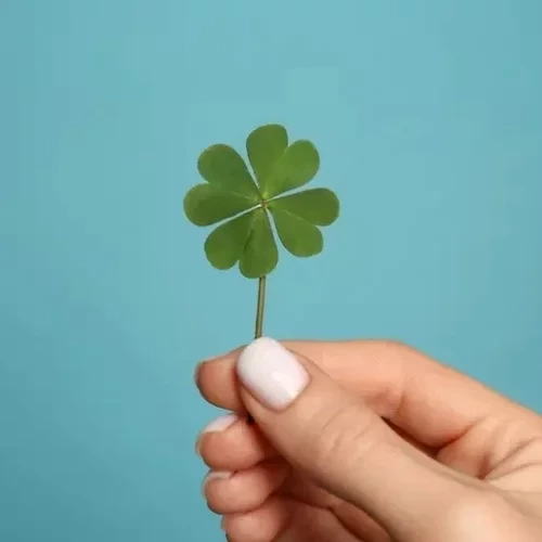 Estes 3 signos do zodíaco vão ter dias prósperos em setembro! - imagem 123190