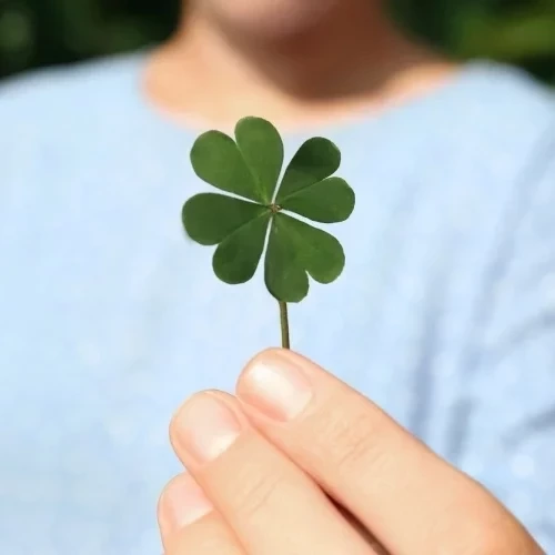 Estes 3 signos do zodíaco vão ter dias prósperos em setembro! - imagem 123192