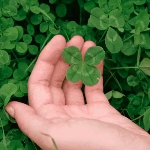 Estes 3 signos do zodíaco vão ter dias prósperos em setembro! - imagem 123191