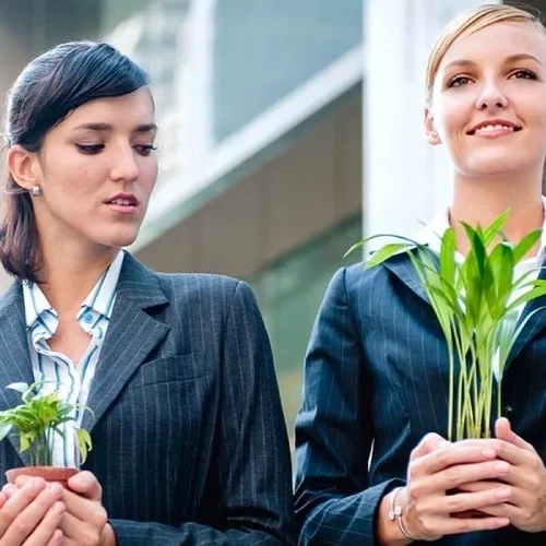 3 signos sentem muita inveja; prepare o sal grosso - imagem 123536