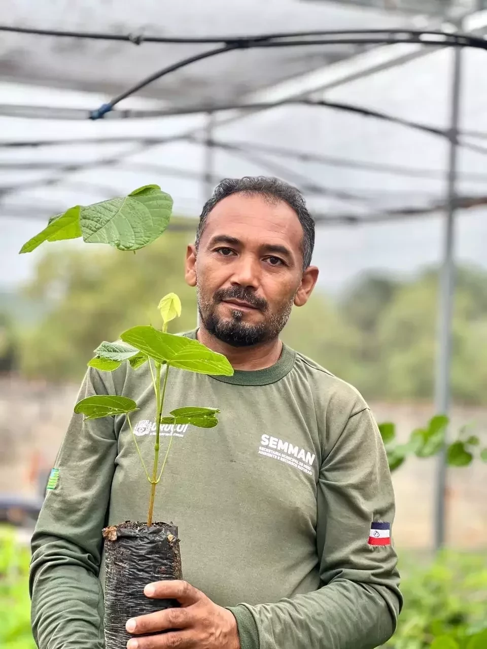 Prefeitura de Uruçuí Distribuirá 10 Mil Mudas nos Festejos de São Sebastião - Imagem 2