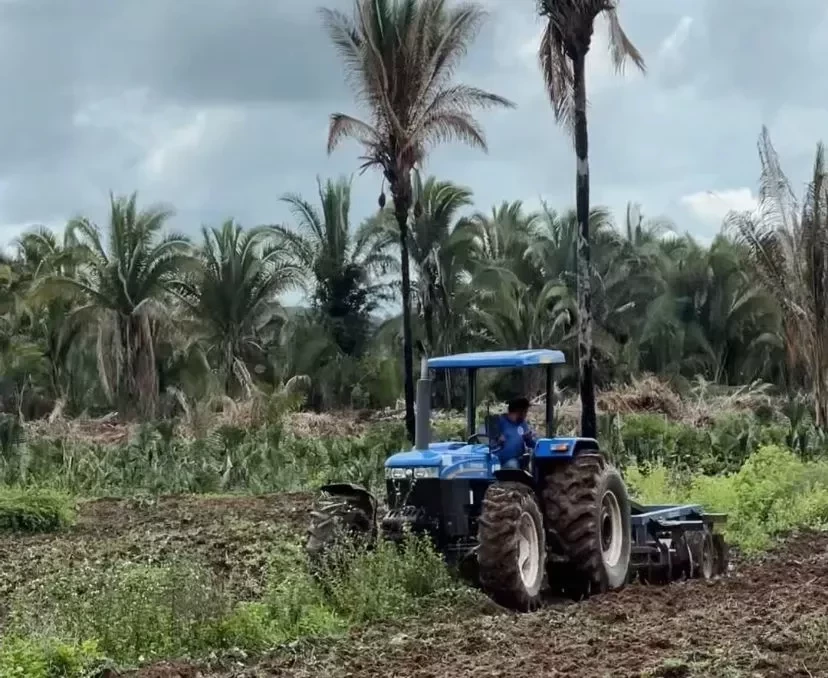 Prefeitura de União disponibiliza tratores para a agricultura familiar - Imagem 1