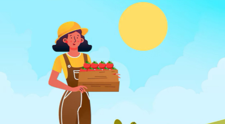 Prefeitura de Marcolândia promoverá 1ª edição da Feira do Programa Mulher do Campo