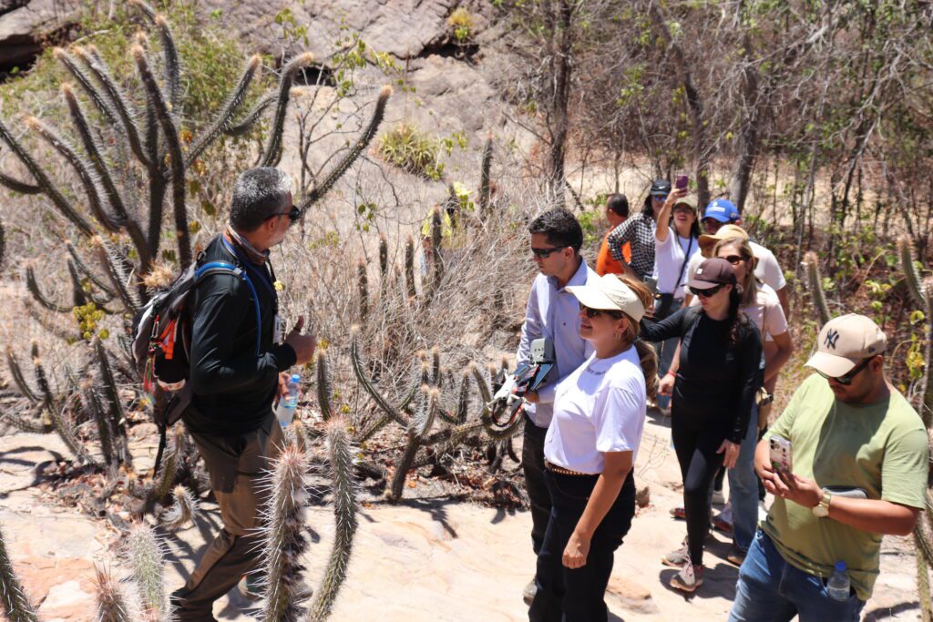 Secretário de Turismo do Estado, Daniel Oliveira, realiza visita técnica ao Parque Nacional Serra da Capivara, Circuito Serra Branca - Imagem 2