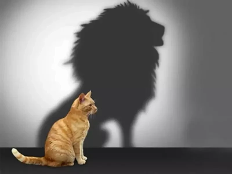 Gênio forte? Descubra os signos mais difíceis de lidar, segundo a astrologia - imagem 134756