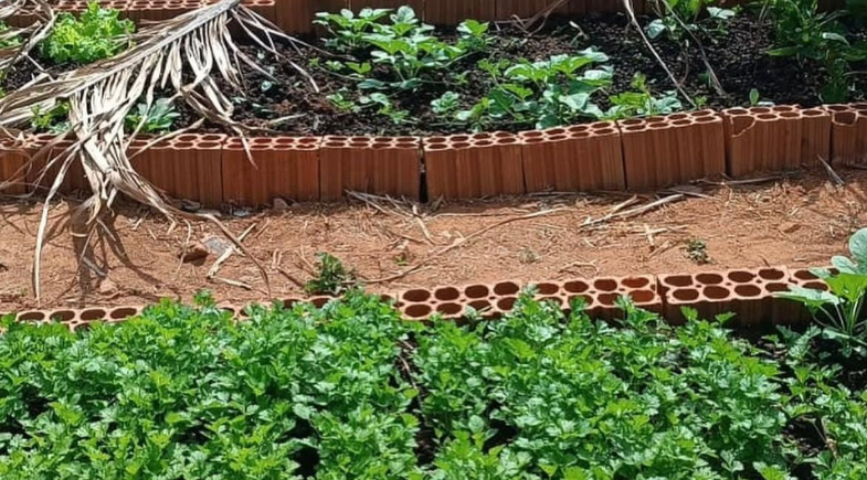 Prefeitura de São Gonçalo do Gurguéia desenvolve Projeto de Horta Escolar no município