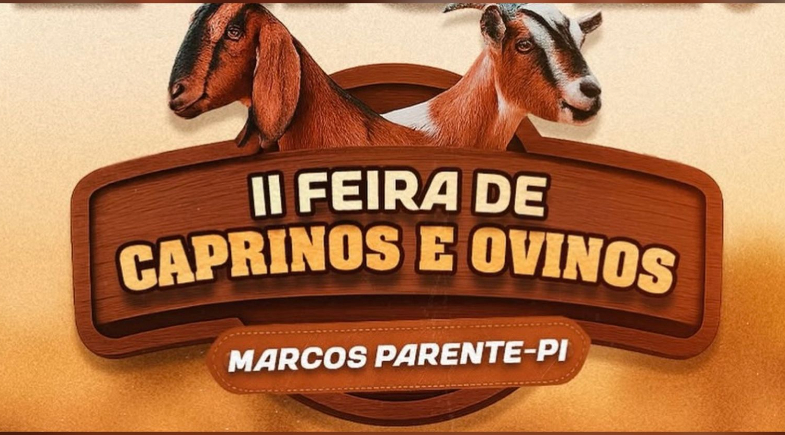 Município de Marcos Parente se prepara para 2ª edição da Feira de Ouvinos e Caprinos