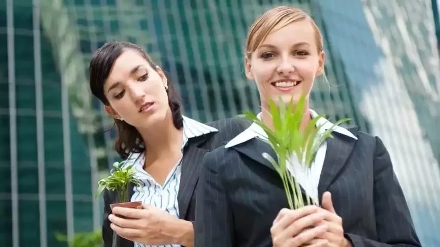 Se benza! 3 signos que estão rodeados de pessoas invejosas - imagem 135315