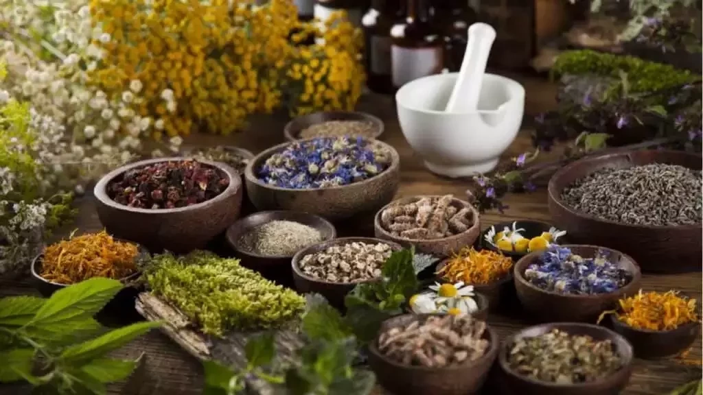 Conheça três ervas poderosas para proteção espiritual no dia a dia