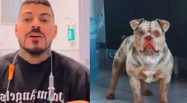 Influenciador que teve dedo comido por cachorro recebe alta após cirurgia de emergência