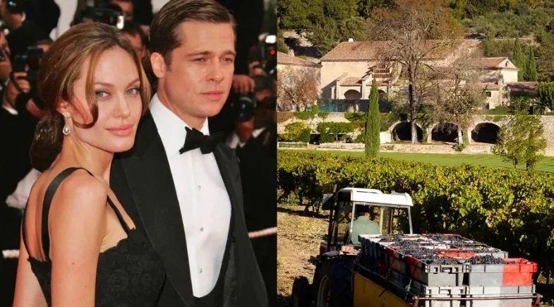 Brad Pitt processa Angelina Jolie em R$ 187 milhões em disputa sobre vinícola