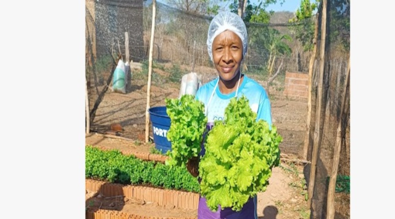 Horta escolar enriquece aprendizado e promove alimentação saudável na Saquinho