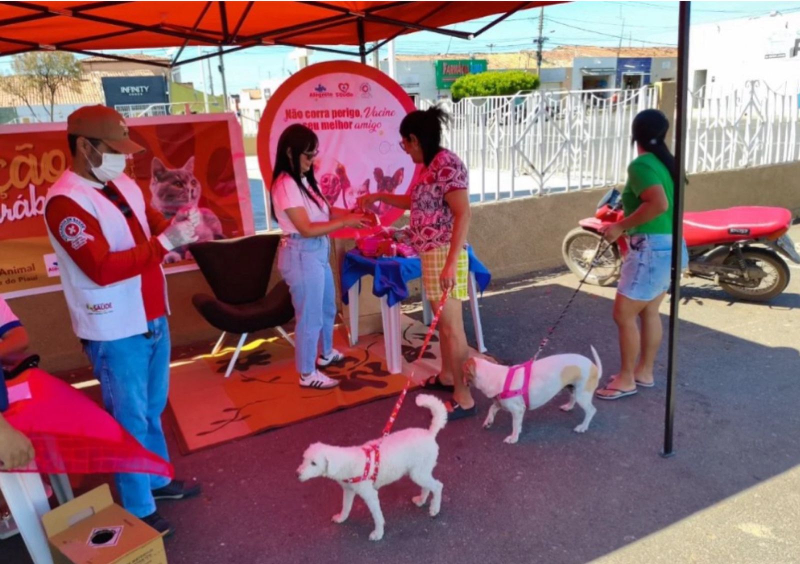Prefeitura de Alegrete realiza Dia D da vacinação antirrábica para cães e gatos - Imagem 2