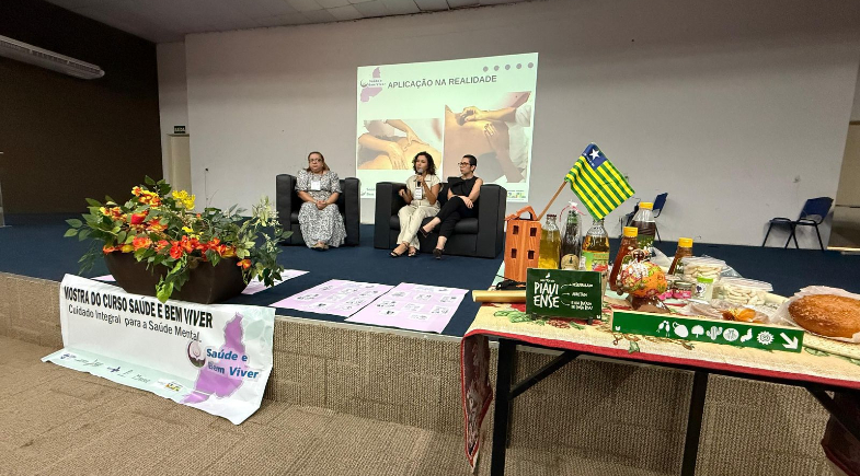 Profissionais da saúde de Coronel José Dias representam o Território Serra da Capivara em evento da FioCruz