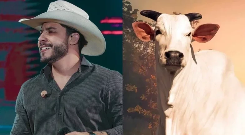 Murilo Huff se torna um dos donos da vaca mais cara do mundo; saiba o valor!