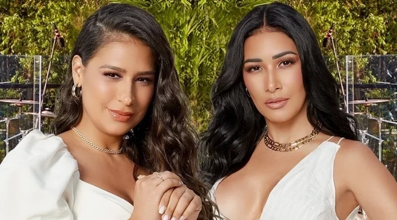 Simone Mendes revela que não pretende retomar dupla com Simaria