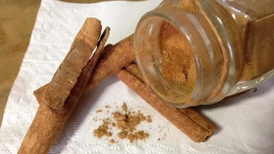 Simpatia da canela: saiba como fazer e o que falar no 1° dia do mês - imagem 136800