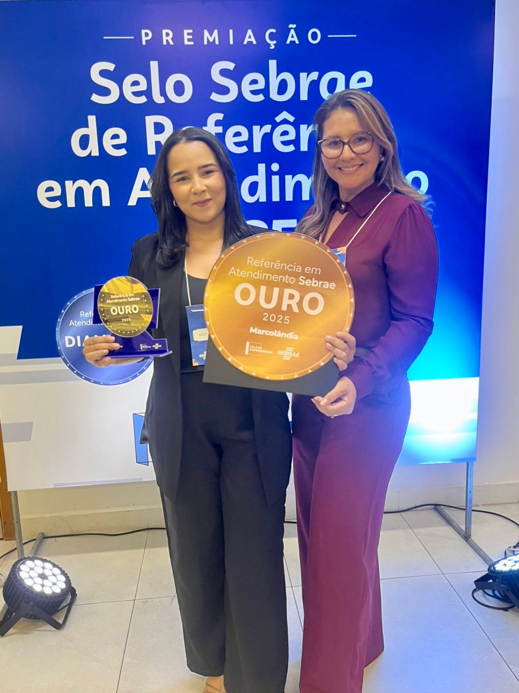 Marcolândia conquista Selo Ouro do Sebrae de Referência em Atendimento 2025 - Imagem 6