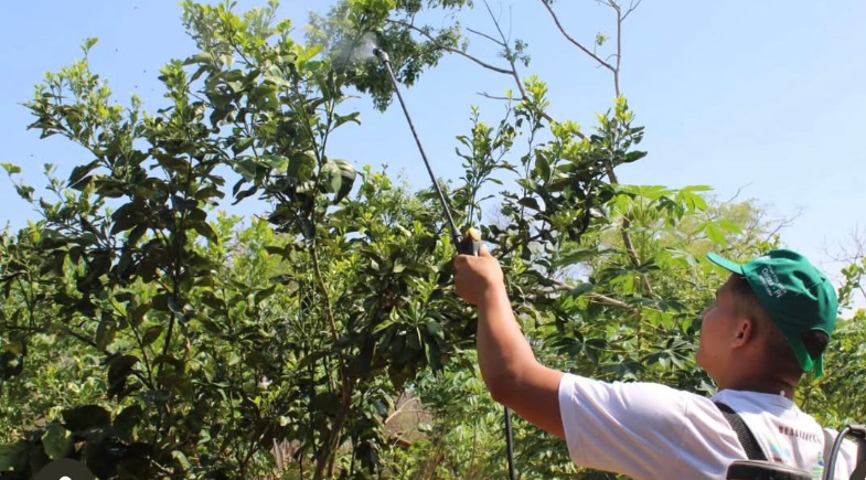 Prefeitura de Francinópolis promove Oficina de Produção de Defensivos e Fertilizantes Agroecológicos