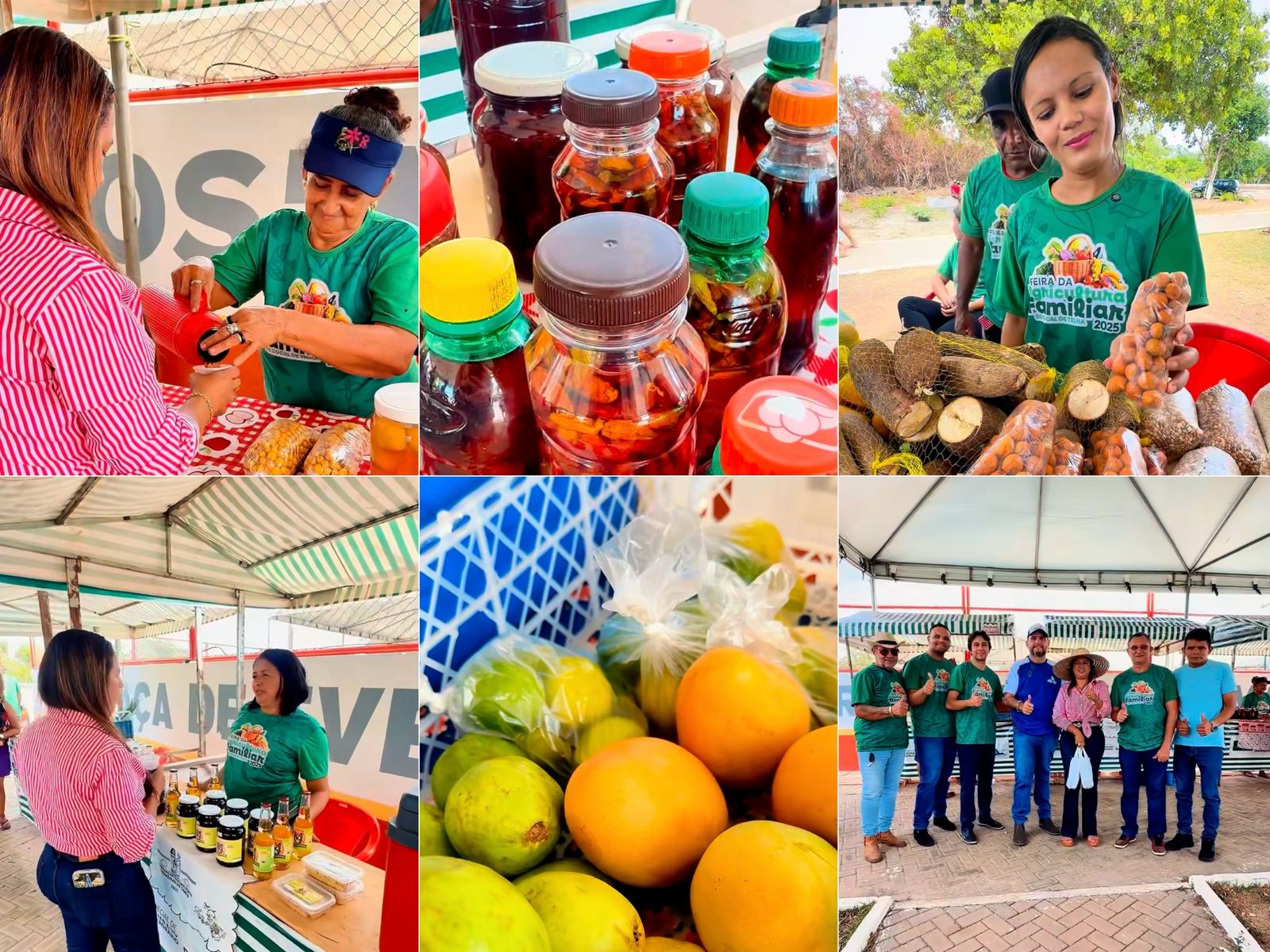 Feira da Agricultura Familiar - Foto: Prefeitura de Cocal de Telha