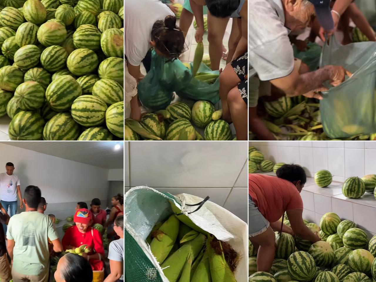 Distribuição de milho e melancia para a população - Foto: Prefeitura de Lagoa Alegre