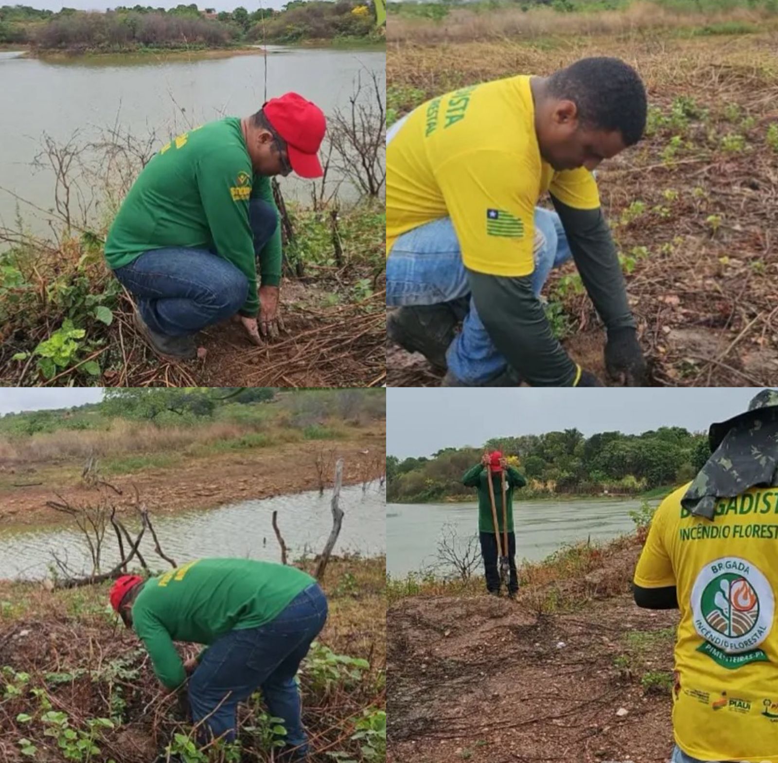 Prefeitura de Pimenteiras realiza ação de plantio de mudas nativas no município  - Imagem 1