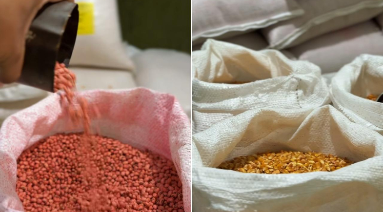 Prefeitura de Castelo do Piauí realiza a distribuição de sementes de milho e feijão para agricultores