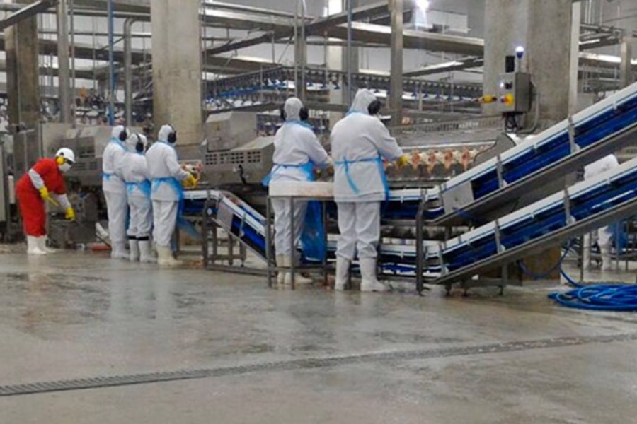 'A construção do novo frigorífico deve empregar cerca de 400 pessoas, diz Agamenon Franco 