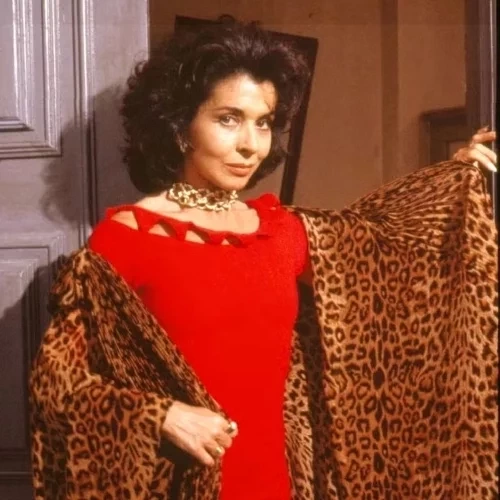 Saiba quais foram as novelas com maior audiência da história da TV Globo - imagem 127330