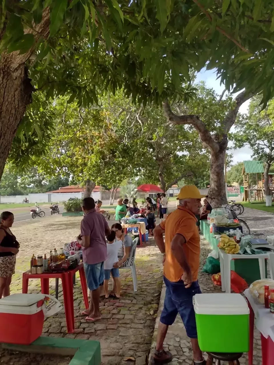 CONFIRA! Artesãos e empreendedores realizam mais uma Feira de Coivaras - Imagem 2