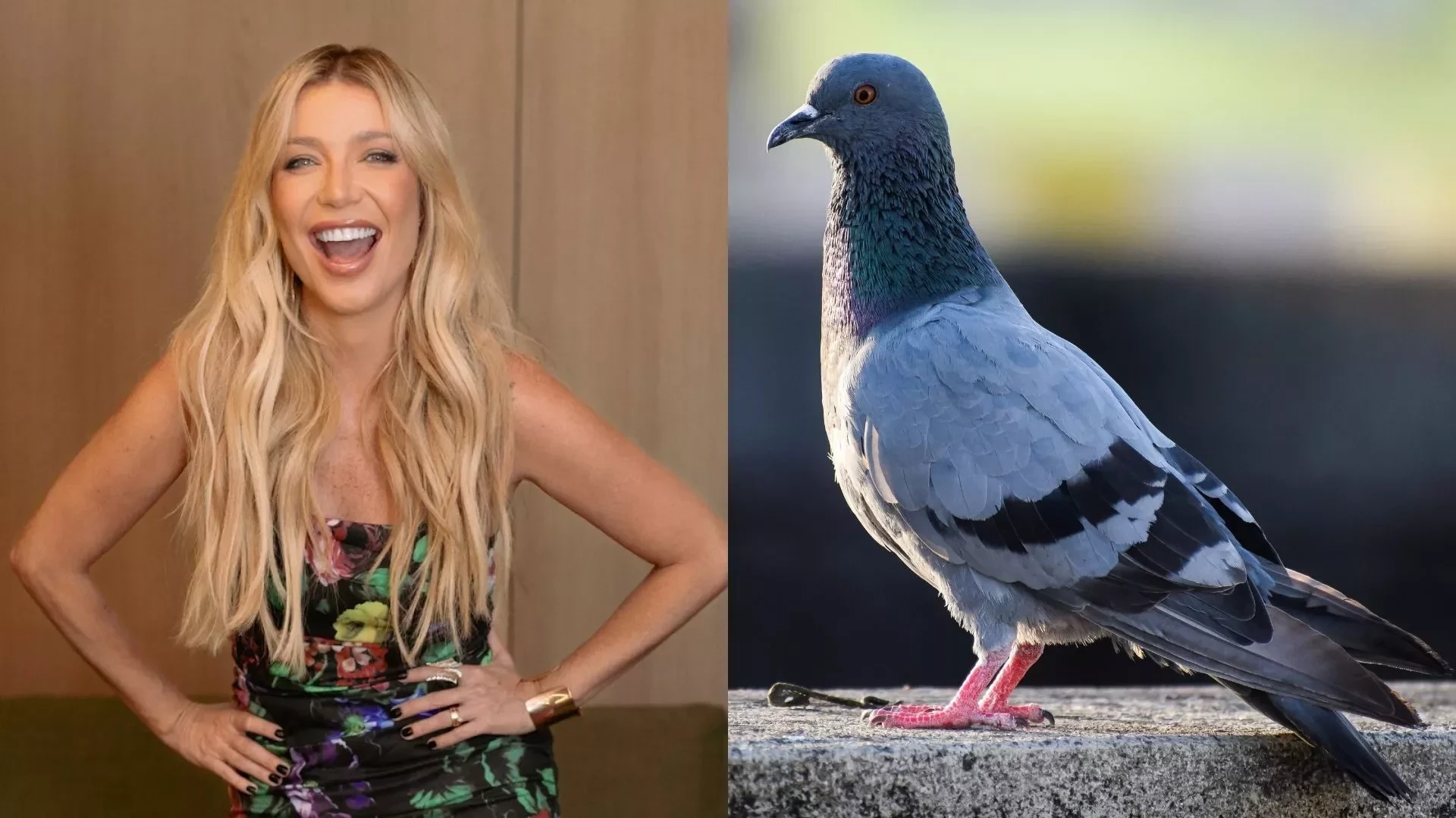 De bananas à borboletas: Veja os medos mais bizarros desses famosos - imagem 128692