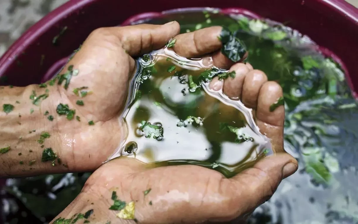 Confira dicas preciosas para renovar sua energia após o Carnaval   - imagem 128054