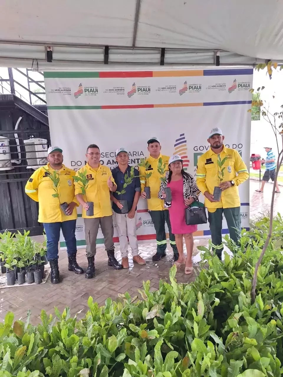 Secretaria de Desenvolvimento Rural, Recursos Hídricos e Meio Ambiente de Itainópolis recebe mudas de caju durante 1ª Edição do Diálogos pelo Piauí - Imagem 2