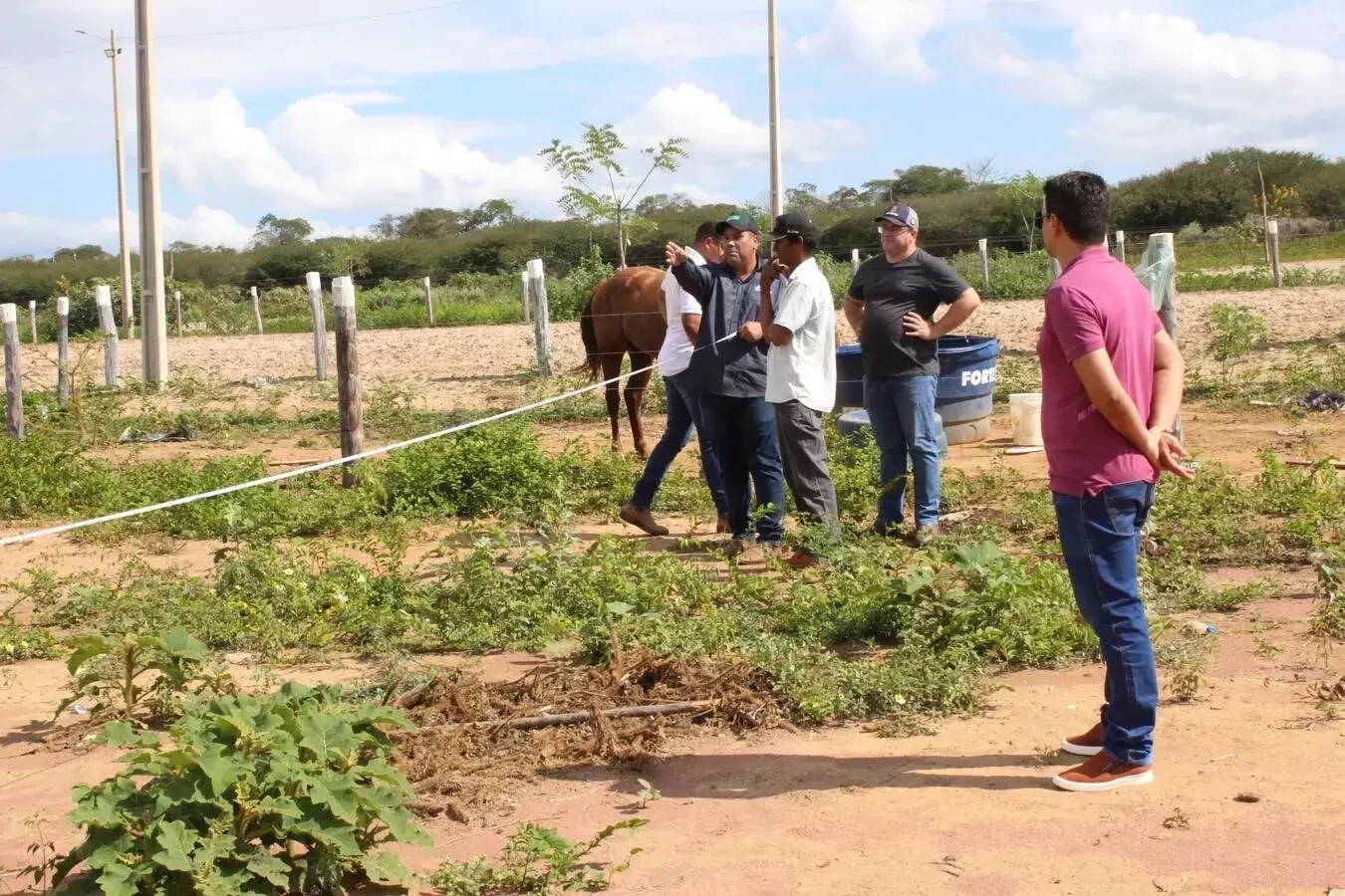 Agro Show, a maior exposição de ovinos e caprinos da região se aproxima | Foto: Divulgação