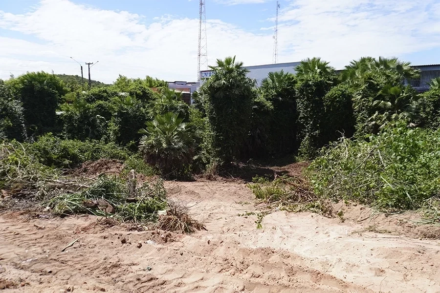 Secretaria do Meio Ambiente de Itainópolis inicia obra de revitalização de área do Riacho das Marimbas. - Imagem 6