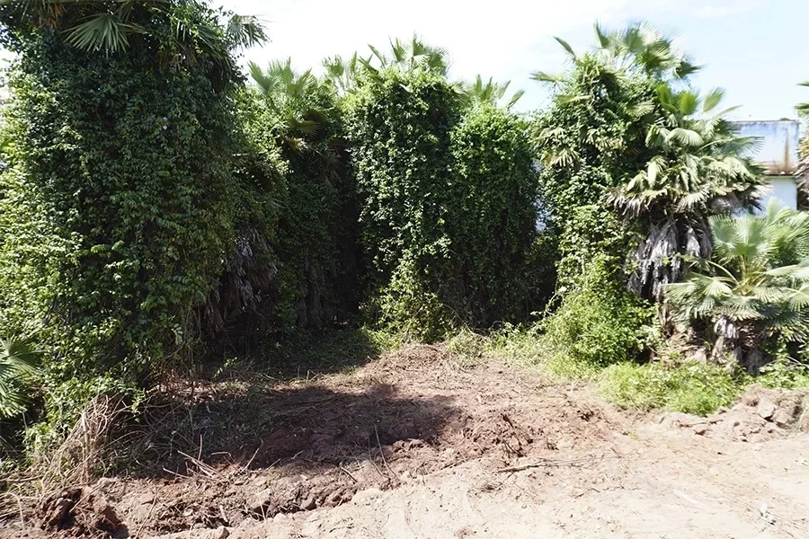 Secretaria do Meio Ambiente de Itainópolis inicia obra de revitalização de área do Riacho das Marimbas. - Imagem 9