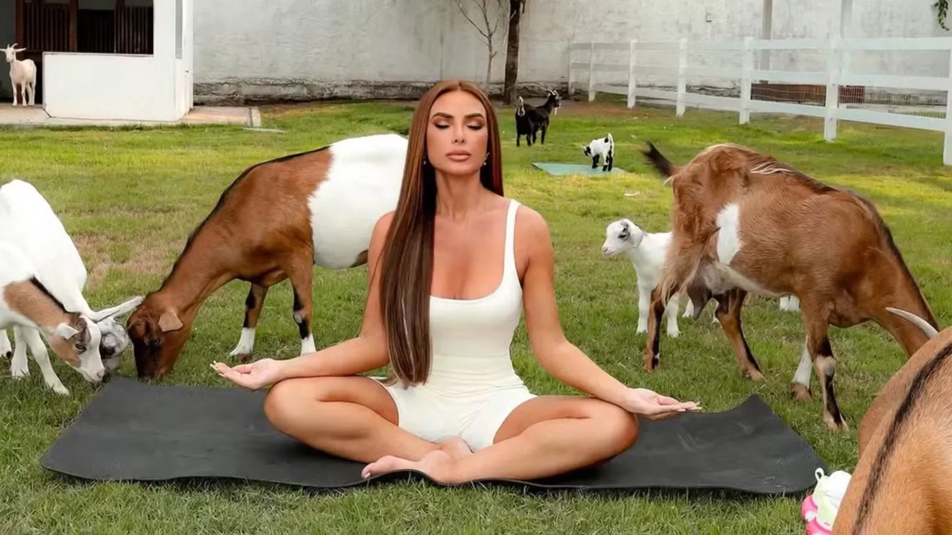 Nicole Bahls planeja fazenda como asilo para amigos gays na velhice