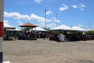 Sucesso total 4º Feira Agro Campo em São João da Serra - Imagem 77
