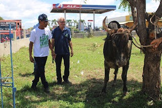 Sucesso total 4º Feira Agro Campo em São João da Serra - Imagem 152