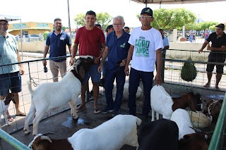 Sucesso total 4º Feira Agro Campo em São João da Serra - Imagem 142
