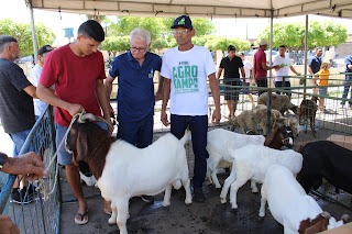 Sucesso total 4º Feira Agro Campo em São João da Serra - Imagem 139