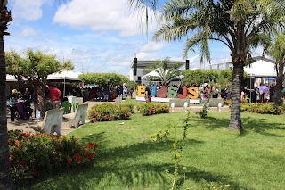 Sucesso total 4º Feira Agro Campo em São João da Serra - Imagem 64