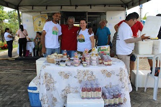 Sucesso total 4º Feira Agro Campo em São João da Serra - Imagem 30