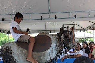 Sucesso total 4º Feira Agro Campo em São João da Serra - Imagem 5