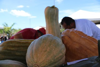 Sucesso total 4º Feira Agro Campo em São João da Serra - Imagem 95