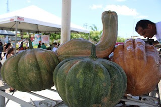 Sucesso total 4º Feira Agro Campo em São João da Serra - Imagem 93